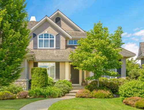 Choosing the Right Tree Service Company in Toronto: Factors to Consider