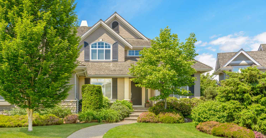 Choosing the Right Tree Service Company in Toronto Factors to Consider